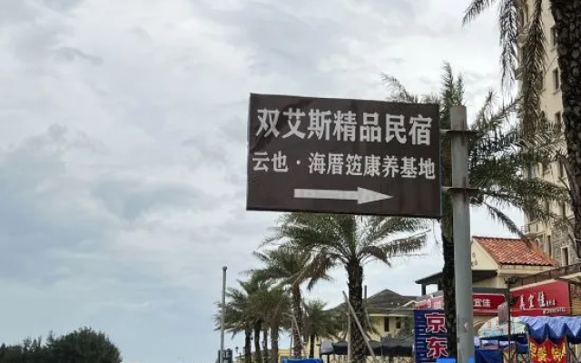 Dongshan Shuangai Boutique B&B (Jinluanwan)
