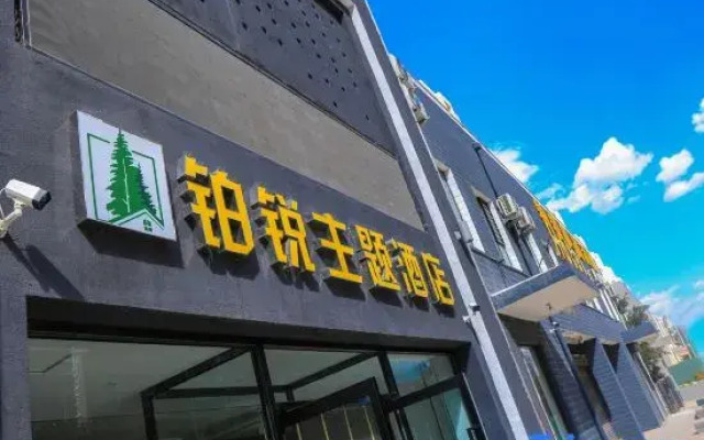 Datong Borui Theme Hotel