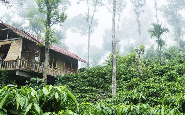 The Coffee County Resorts