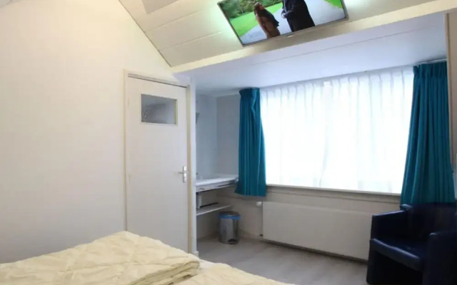 Zwenger - Egmond Aan Zee