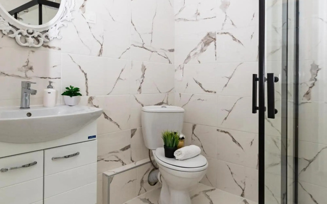 Tatjana Niche apartmant 2 centar