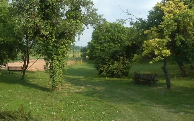 Borostyánkert Étterem & Vendégház