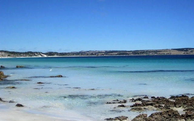 Seas The Day