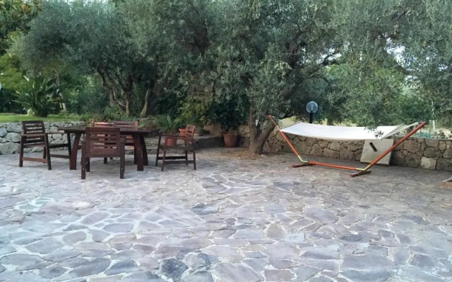 Poggio Delle Palme