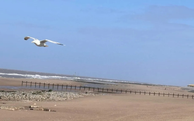 Seaside Caravan Sleeps 5 - Decking, Parking, Pets