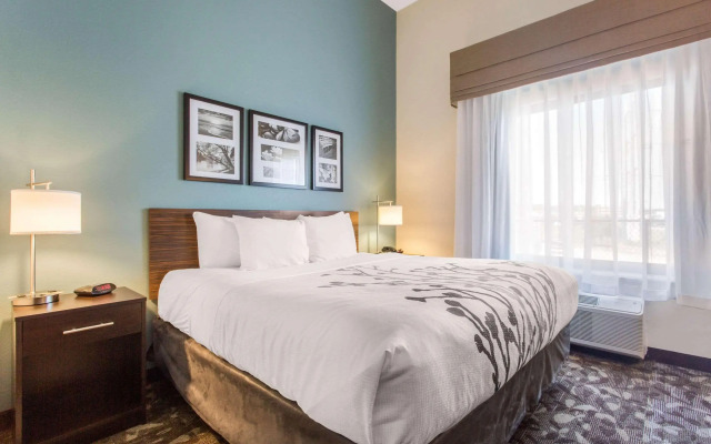 Comfort Inn & Suites Johnson City - Binghamton