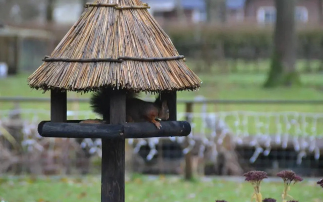 reiger