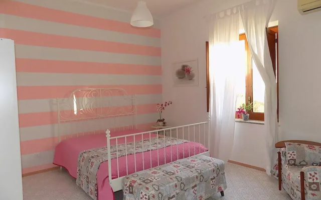 Crazy Home
