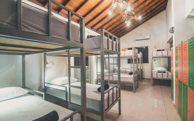 Bunkyard Hostels
