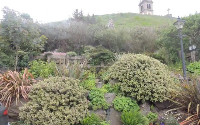 Braeview Studio (Adults Only)