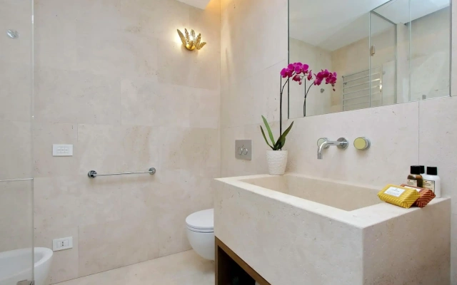 Luxury Domus Apartment 1