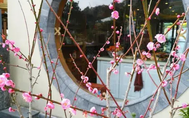Dongshan No.92 Hot Spring Courtyard