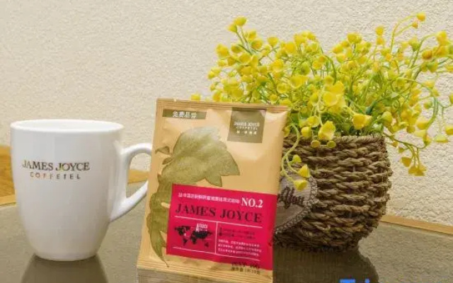 James Joyce Coffetel Hotel (Hotan Night Market)