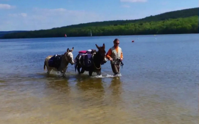 Glamping in Signy-l'abbaye