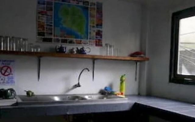 The Party Hostel