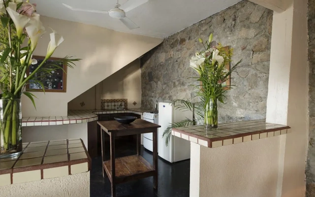 Villas Carrizalillo
