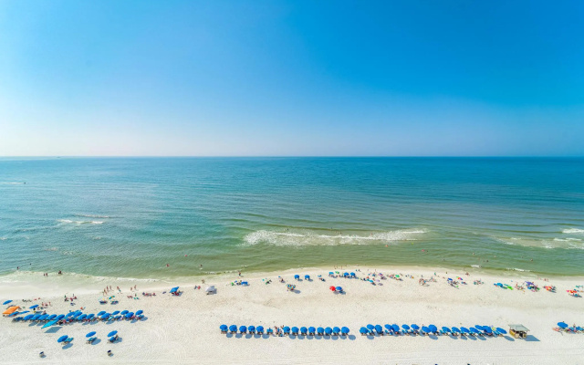 Twin Palms 1703