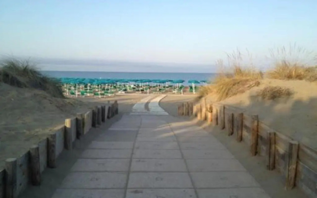 Bilocale a 40 mt. dalla spiaggia circondato dalla pineta