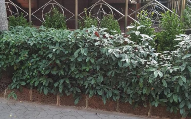 Ruean Mai Chai Khlong