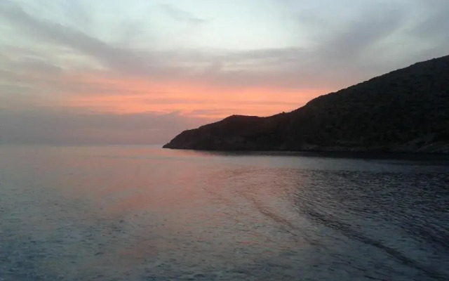 Elenis Studios