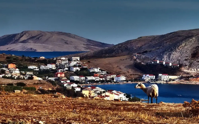Comfortable Holiday Home in Metajna With Terrace