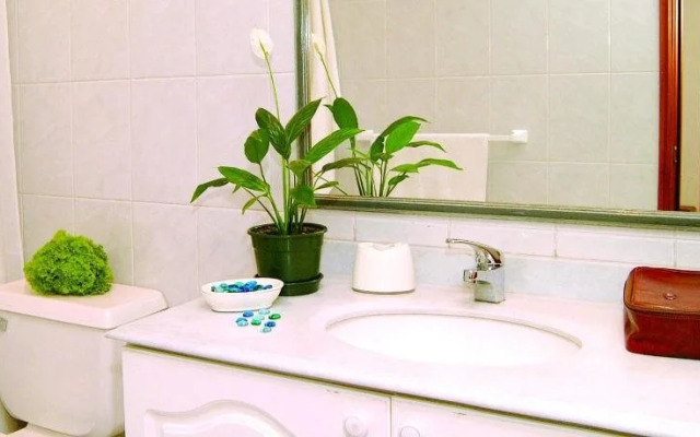 Apart Hotel Carampangue