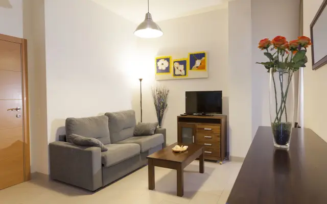 Gibralfaro Centro Apartaments