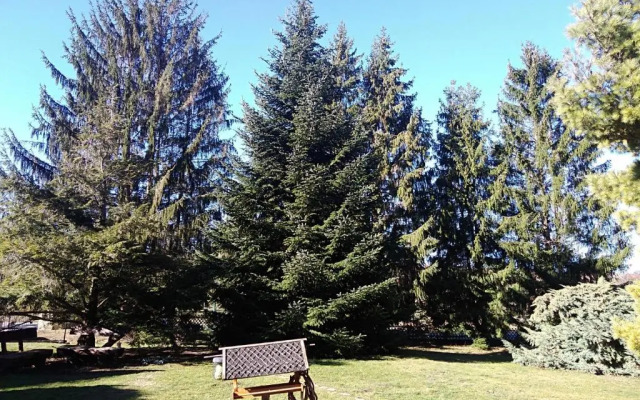 Ferienhaus zum Vogelnest