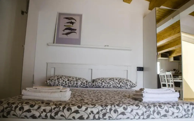 Ansise apartments