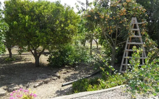 Casa de Vacaciones Son Gibert