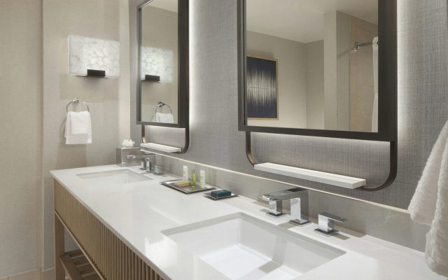 Hilton Anatole