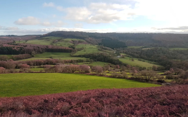 Rievaulx
