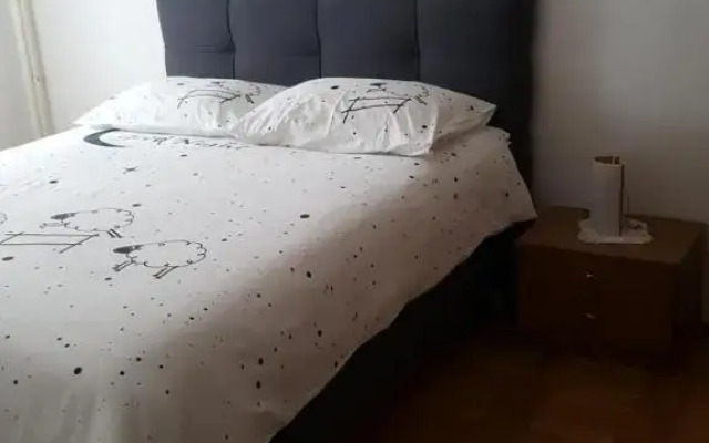 Apartments Davor