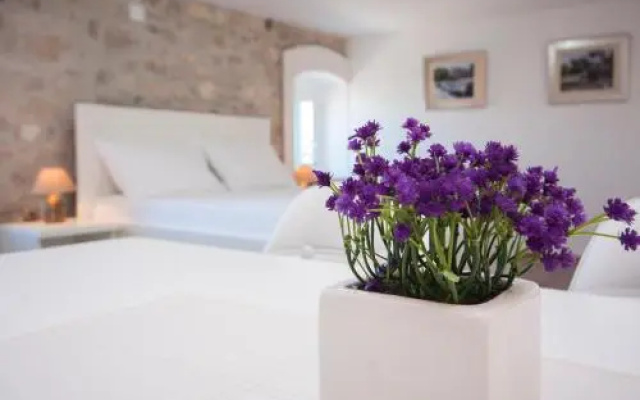 Apartments Dalmata