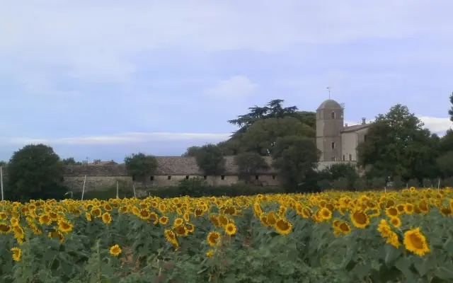 Mas du Crès