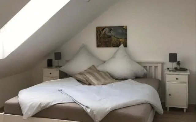 Elb Nest