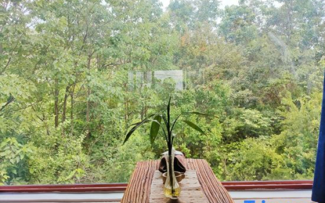 Shuyunju Healing homestay