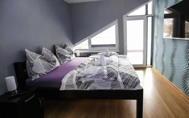 Villa in Frenstat Near Ski Resorts & Jacuzzi