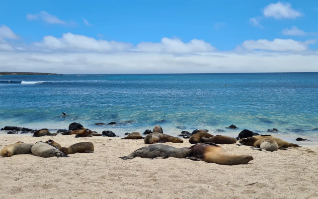 Hotel Indigo Galapagos by IHG