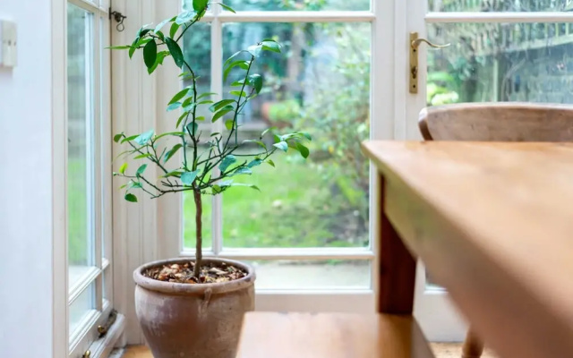 Guestready - Stylish Victorian Family Home, W/garden, Sleeps 8, London