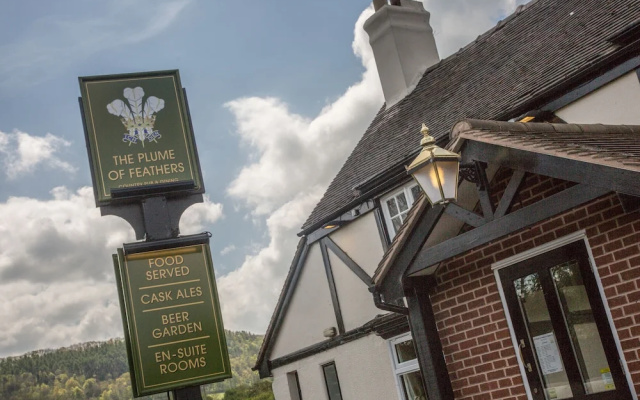 The Plume of Feathers, A458