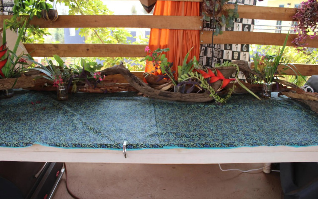 Umusambi B&B