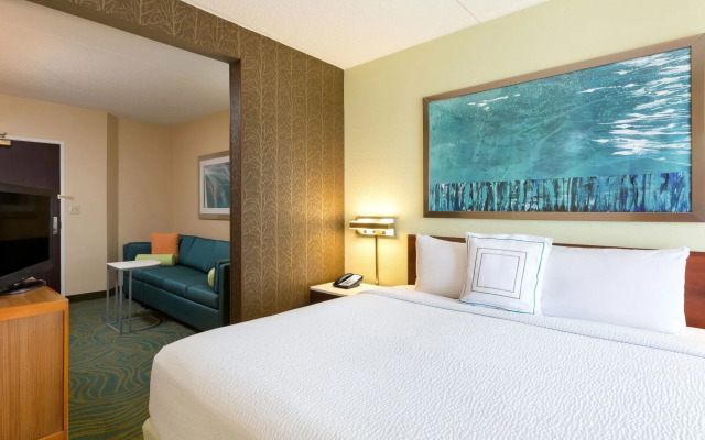 SpringHill Suites by Marriott Austin South