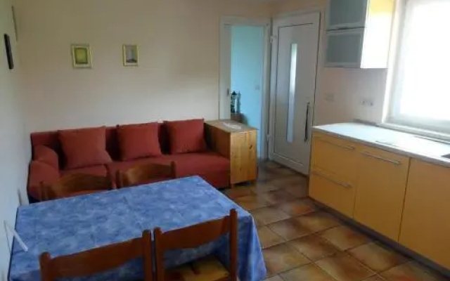 Na kmetiji s konji - Pogelšek
