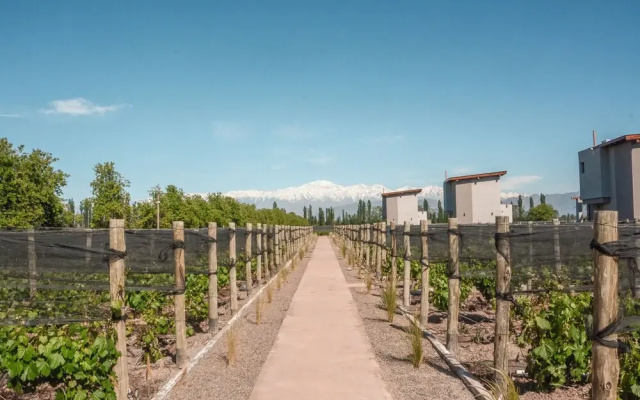 Agrelo Vines Lodge