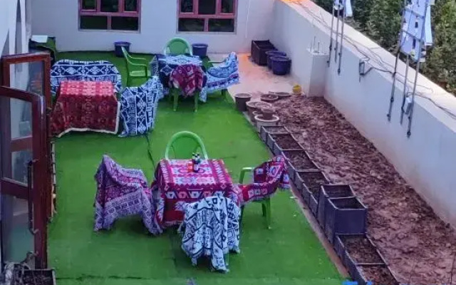 Kashgar  Adenium obesum B&B