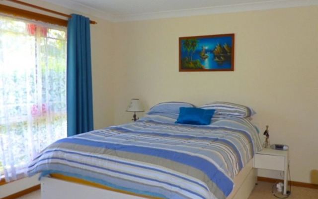 14 Lomandra
