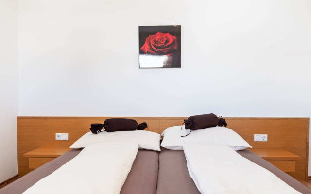 Apartment in Saalfelden Near Ski Slopes