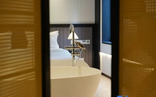Grey Parrot Hotels