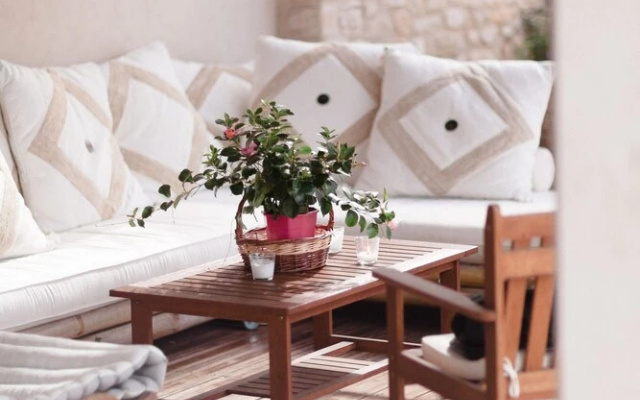 PROVENCE Dodo